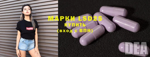 прущие грибы Абинск