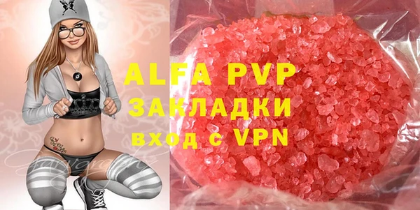 прущие грибы Абинск