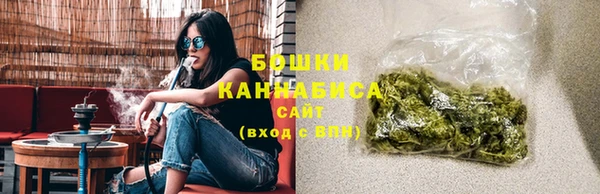 прущие грибы Абдулино