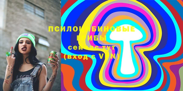 прущие грибы Абдулино